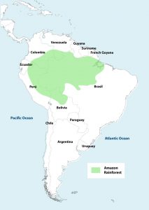 Amazon Rainforest Map | Peru Explorer