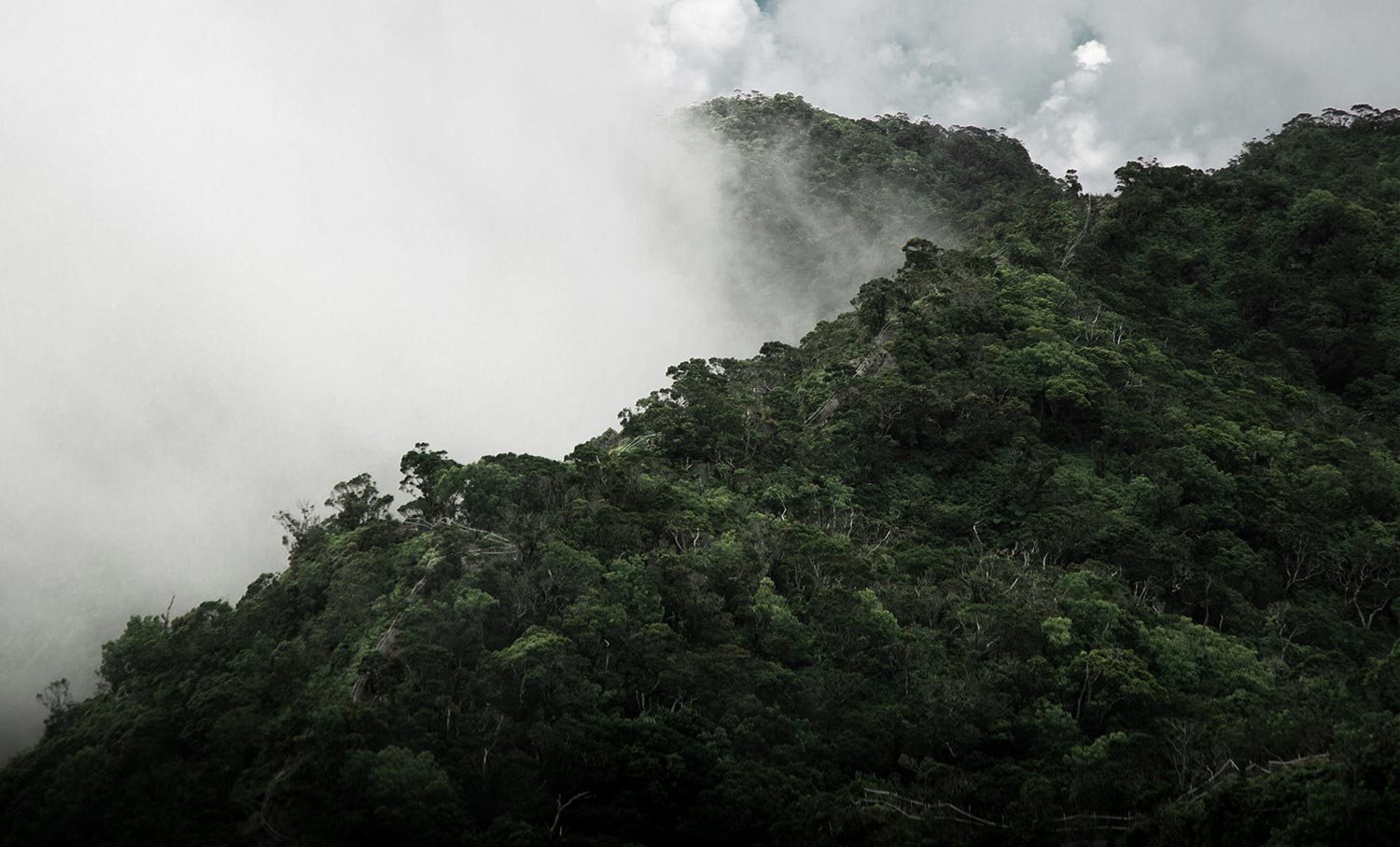 All About Peruvian Rainforest Weather | Peru Explorer